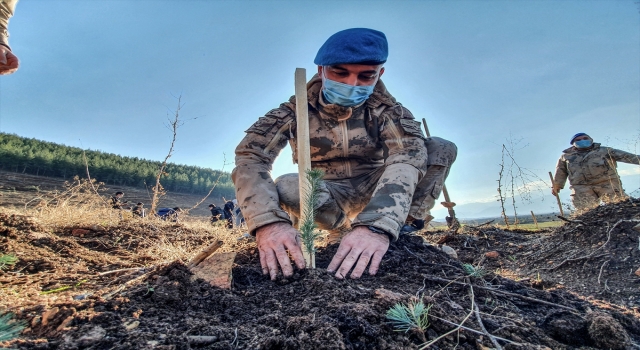 Hatay’da şehitler için hatıra ormanı oluşturuldu