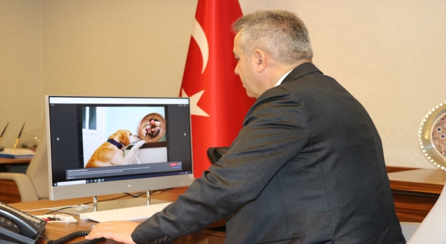 Adana Valisi Elban, AA’nın ”Yılın Fotoğrafları” oylamasına katıldı
