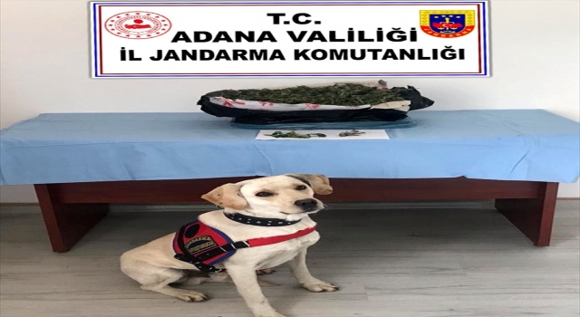 Adana’da samanlıkta 10 kilo 370 gram esrar ele geçirildi