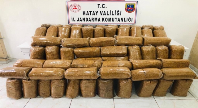 Hatay’da kaçak tütün operasyonu