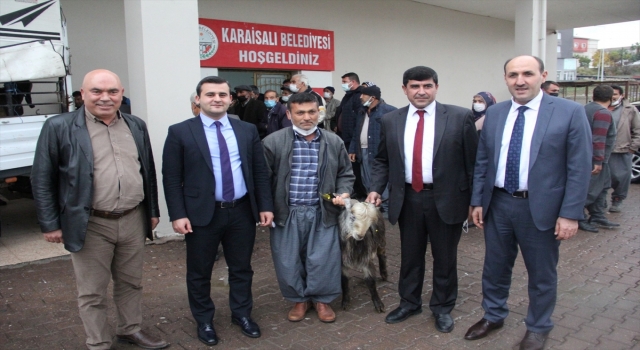 Adana’da üreticilere Halep melezi 30 keçi dağıtıldı