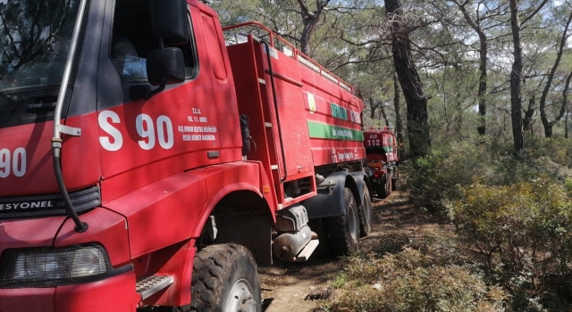 Kaş’ta çıkan orman yangını söndürüldü
