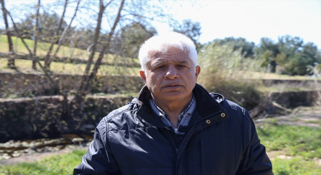 Denizanası sürülerinin 2 ayda Antalya Körfezi’ni terk etmesi bekleniyor