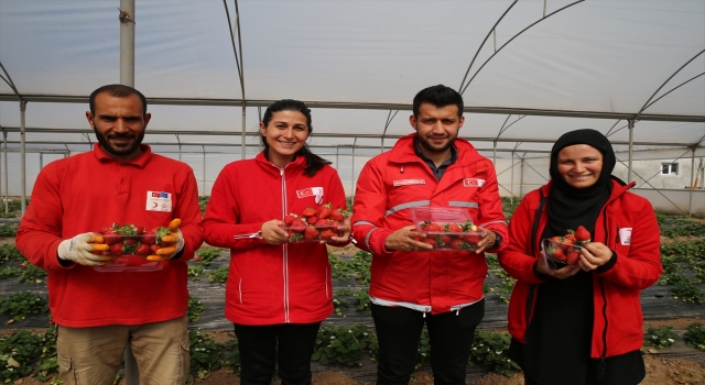 Türk Kızılayın çiftliği hem öğretiyor hem yaşatıyor