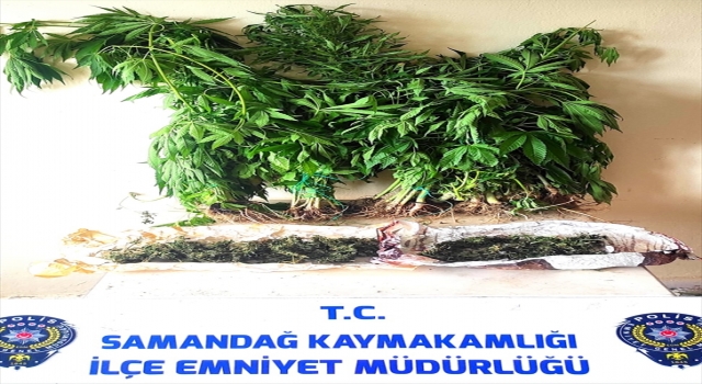 Hatay’da uyuşturucu operasyonunda 2 şüpheli yakalandı