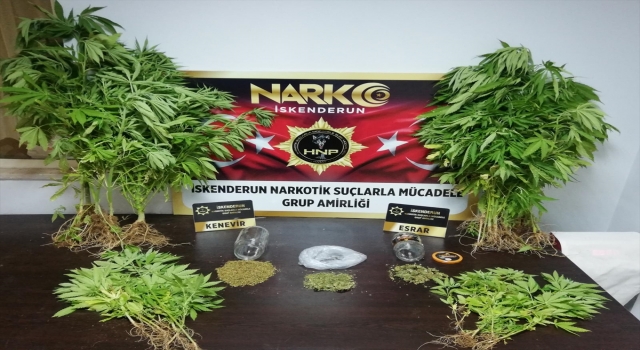 Hatay’da evinin damında kenevir yetiştiren zanlı yakalandı