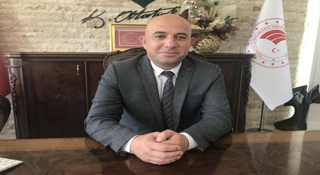 Avokadoya talep arttı, üretim alanı genişledi