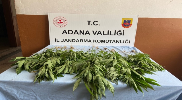 Adana’da uyuşturucu operasyonlarında 22 zanlı yakalandı