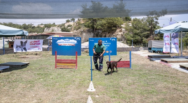 Mersin’de Köpek Eğitim Alanı oluşturuldu