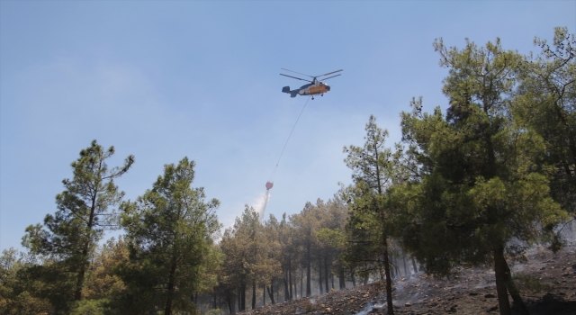 GÜNCELLEME Hatay’da çıkan örtü yangını kontrol altına alındı