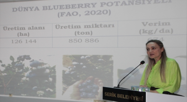 Serik’te topraksız yaban mersini üreticiliği semineri verildi