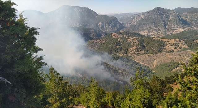 Adana’da çıkan orman yangınına müdahale ediliyor