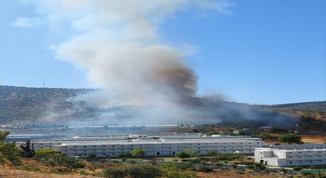 GÜNCELLEME Mersin’de çıkan orman yangını kontrol altına alındı