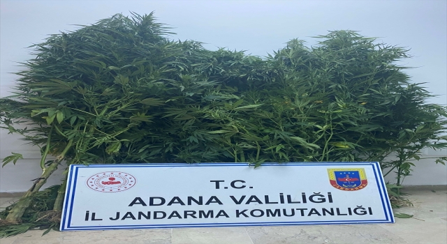 Adana’da huzur ve güven uygulamasında 82 şüpheli yakalandı