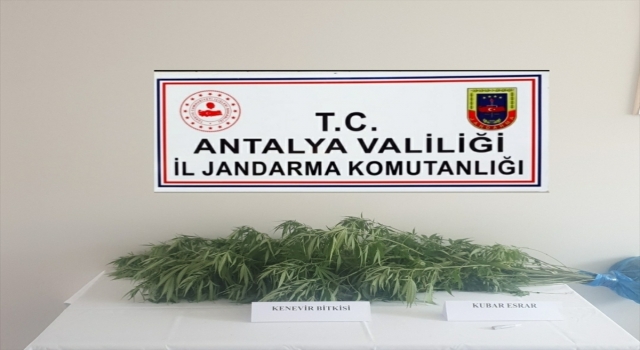 Antalya’da uyuşturucu operasyonunda bir kişi yakalandı
