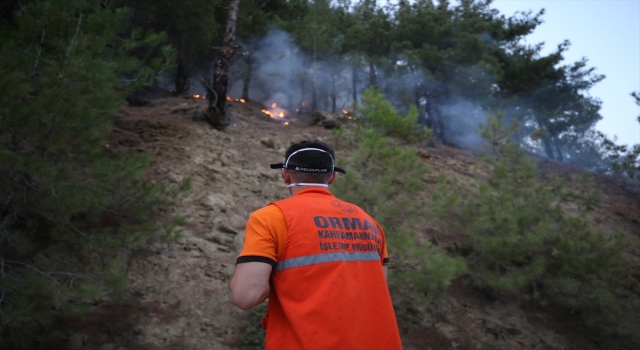 GÜNCELLEME 2 Kahramanmaraş’ta çıkan orman yangınına müdahale ediliyor