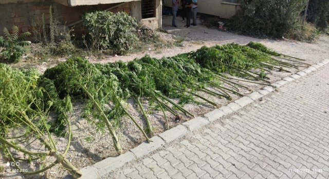 Hatay’da evlerinde uyuşturucu bulunan 2 zanlıdan 1’i tutuklandı