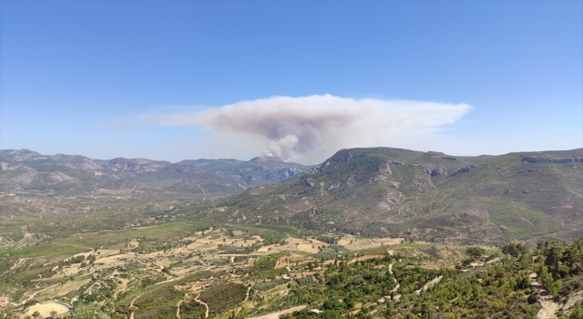 GÜNCELLEME 4 Mersin’deki orman yangınına müdahale ediliyor