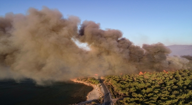 GÜNCELLEME Mersin’deki orman yangınına müdahale sürüyor