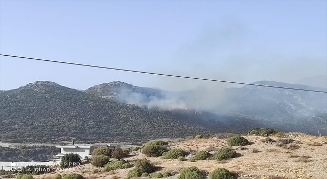 Kaş’ta makilik alandan çıkan yangına müdahale ediliyor