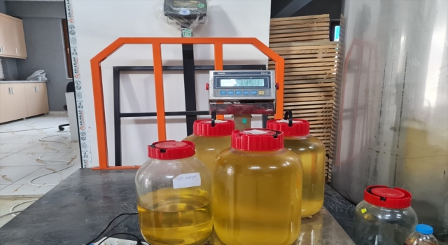 Kahramanmaraş’taki kıraç arazilerde aromatik bitkiler yetiştiriliyor