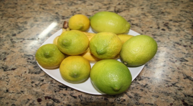 Mersin’de tescilli muz ve limondan yapılan pastalar yarıştı