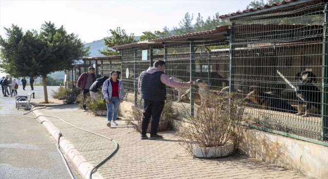 Mersin’de hayvanseverler, barınaktaki ”can dost”larını besledi
