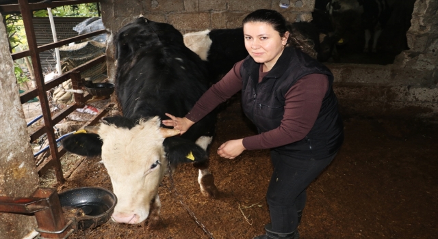 Hataylı kadın girişimci devlet desteğiyle besici oldu