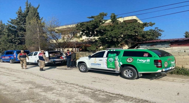 Hatay’da sahipsiz köpeği tüfekle yaralayan şüpheli yakalandı