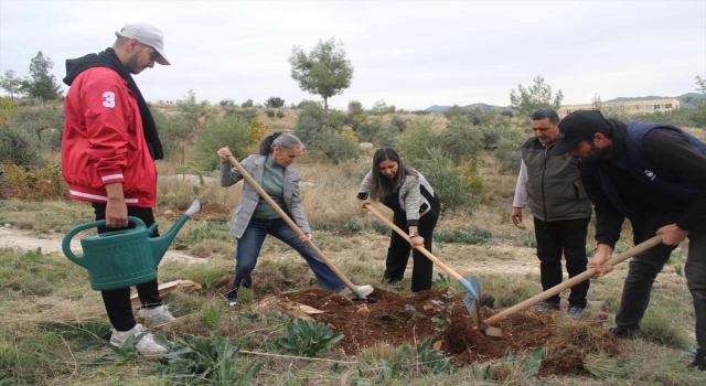 Adana’da fidanlar toprakla buluştu