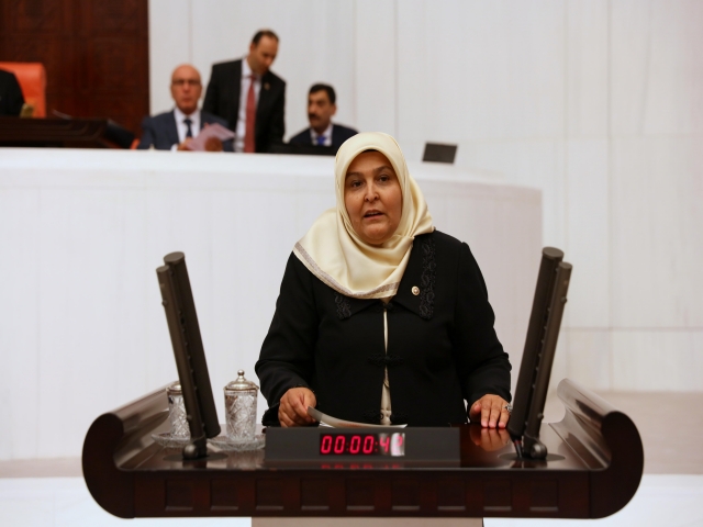 Milletvekili Öçal, 27 Mayıs Darbesini Kınadı