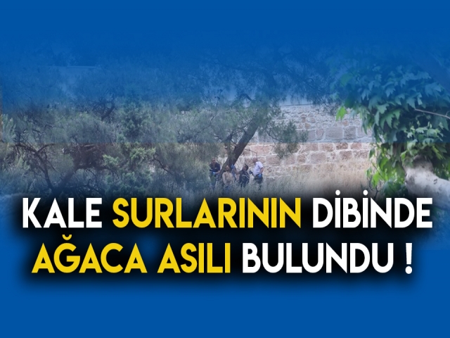 SURLARIN DİBİNDE AĞACA ASILI BULUNDU