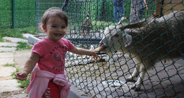Çayyolu’nda Gizli Kalmış Doğa Dostu Parkı