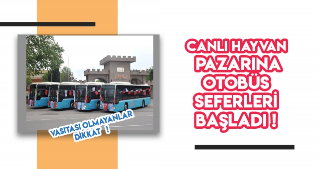 CANLI HAYVAN BORSASI’NA SEFERLER BAŞLADI