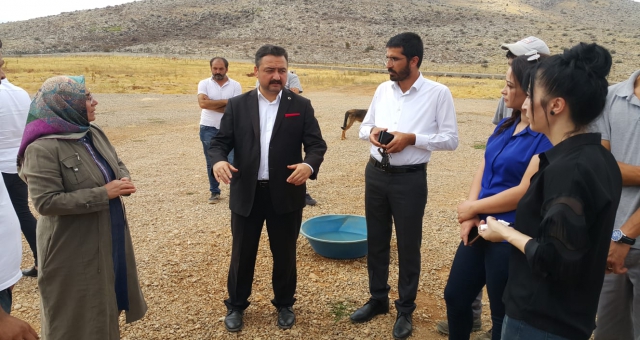 Gürbüz, “Hayvan Barınağı İçin Gerekli Çalışmaları Yapıyoruz”