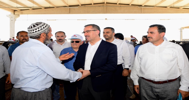 Hayvan Borsasında Kaliteli Hizmet Sunuluyor