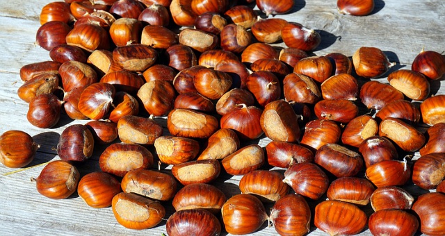 Kestane Her Derde Deva