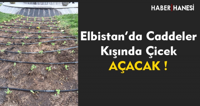 Elbistan Belediyesi “Kışında Çiçekler Solmasın”