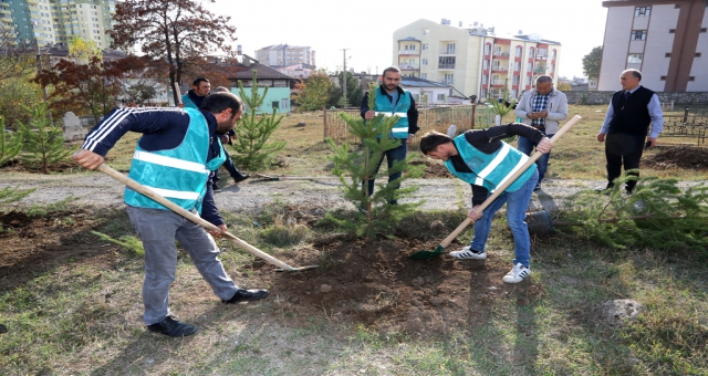 Sivas Aydogan Mezarlığına Cevre Düzenlemesi