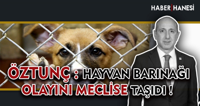 KAHRAMANMARAŞ’TA SOKAK HAYVANLARI ÖLDÜRÜLÜYOR!