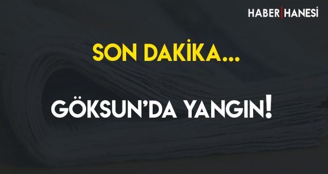 Son Dakika... Göksun'da Yangın