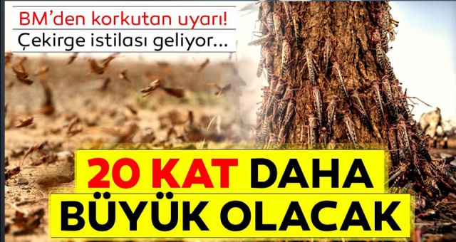 Birleşmiş Milletler Uyardı !