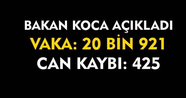 Sağlık Bakanlığı Açıkladı Vaka ve Ölüm Sayısı Arttı !
