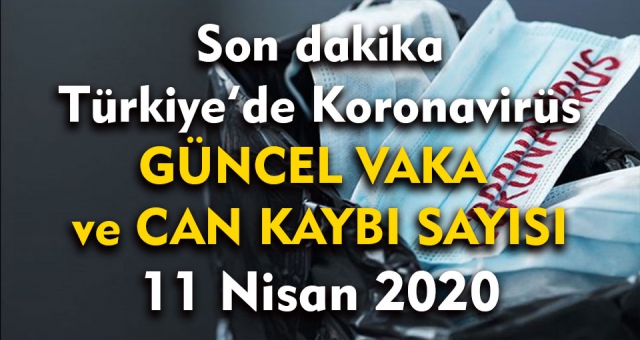 Türkiye'de koronavirüsten can kaybı sayısı bin 101'e yükseldi