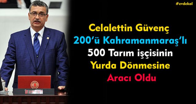 Güvenç El Attı Tarım İşçileri Türkiye'ye Döndü