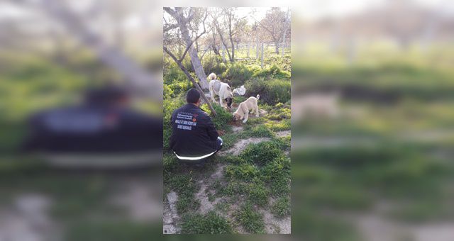 Kahramanmaraş Büyükşehir İnsan Dostlarını Unutmadı
