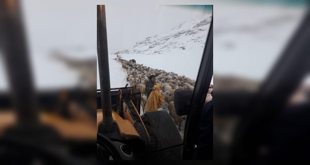 Kahramanmaraş'a Mayıs'ta Kar Yağdı Yaylacılar Mahsur Kaldı