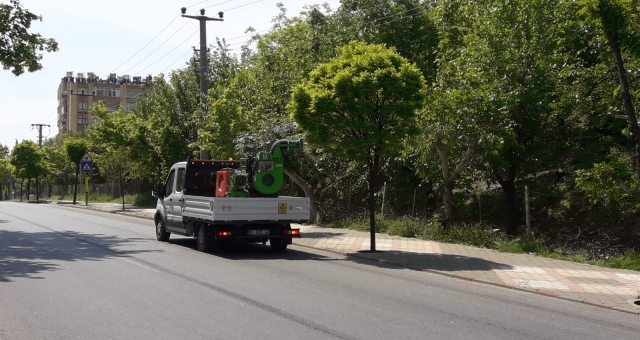 Kahramanmaraş'ta Ağaçlar İlaçlandı