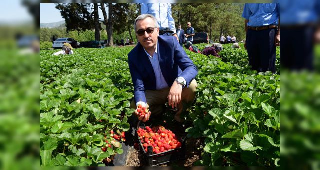 Başkan Güngör Tarımda Kalkınma Projelerinin Arkasındayız