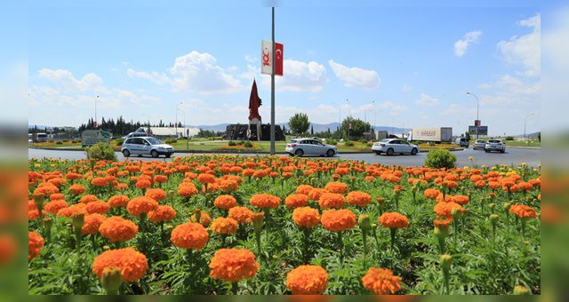 Büyükşehir’den mevsimlik çiçek dikimi